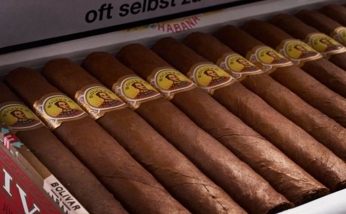 Bolívar - Coronas Junior - Image 2