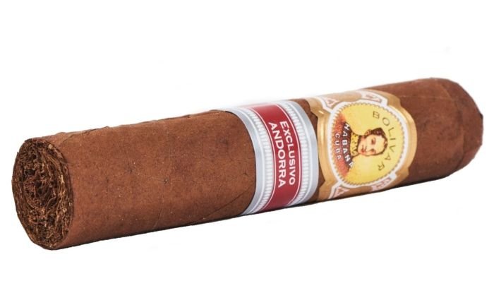 Bolivar Short Bolivar EL2017 - Image 6