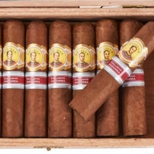 Bolivar Short Bolivar EL2017