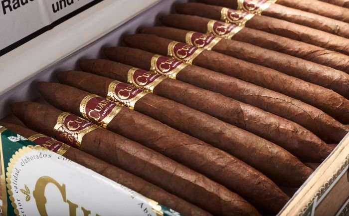 Cuaba - Exclusivos - Image 10