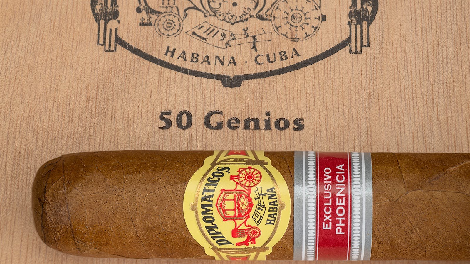 Diplomáticos Genios Edición Regional Phoenicia 2024 - Image 4