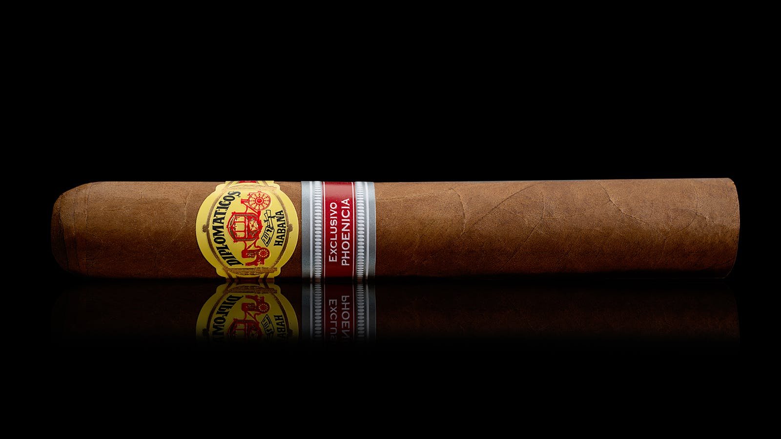 Diplomáticos Genios Edición Regional Phoenicia 2024 - Image 3