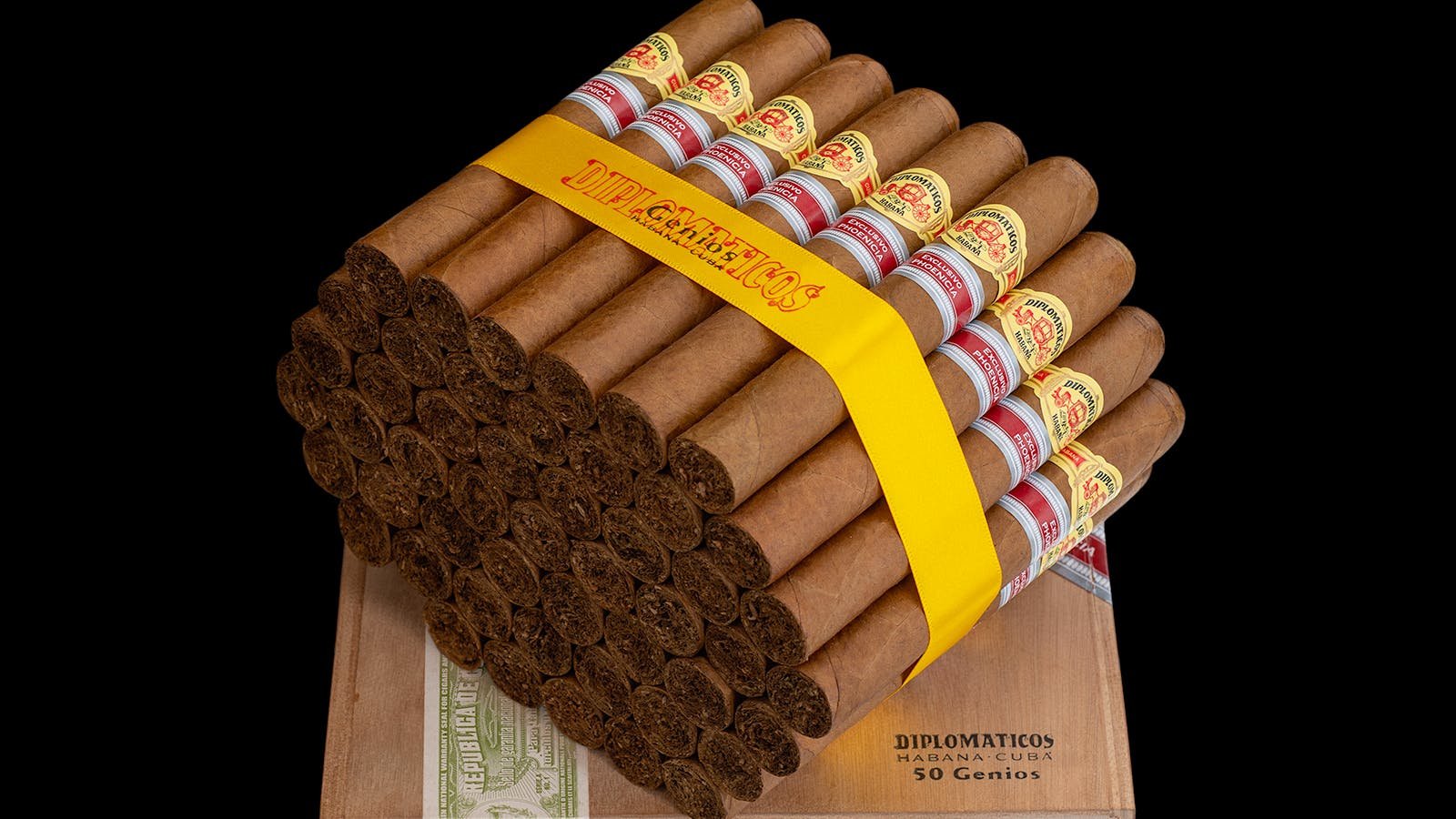 Diplomáticos Genios Edición Regional Phoenicia 2024