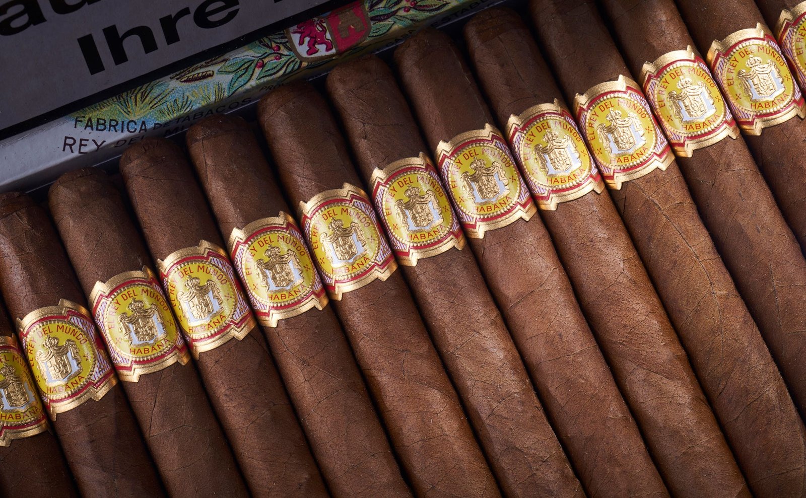 EL REY DEL MUNDO DEMI TASSE CIGAR - Image 8