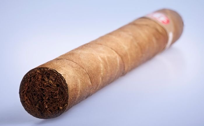 Fonseca - No.1 - Image 5