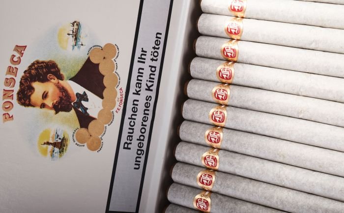 Fonseca - No.1 - Image 8