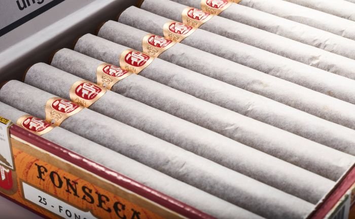 Fonseca - No.1 - Image 9