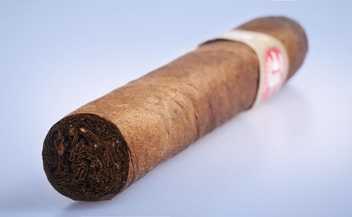 Fonseca - KDT Cadetes - Image 5