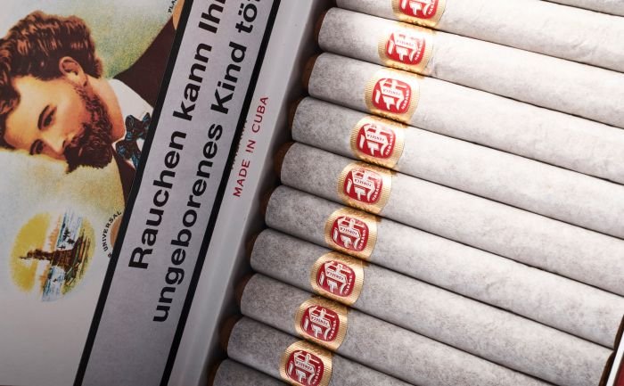 Fonseca - KDT Cadetes - Image 8