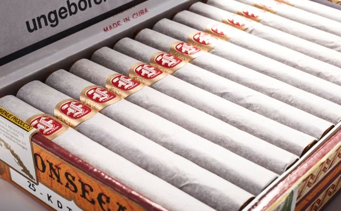 Fonseca - KDT Cadetes - Image 9