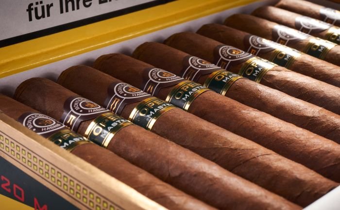Montecristo - Open Master - Image 9