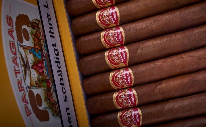 Partagás - Shorts - Image 8