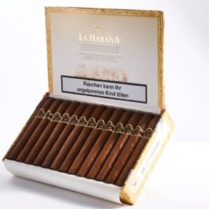 San Cristobal - La Fuerza