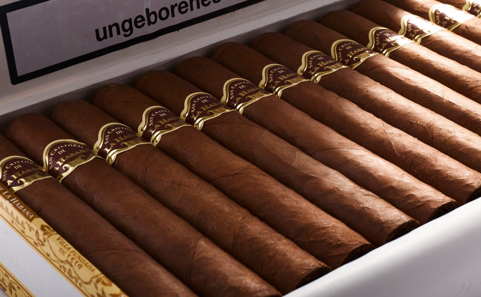 San Cristobal - La Fuerza - Image 9