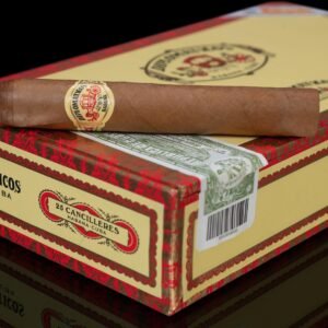 DIPLOMATICOS CANCILLERES