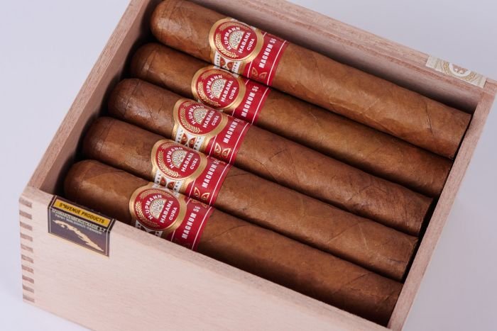 H.Upmann Magnum 56 Travel Retail Jar + 20 Zigarren - Image 4
