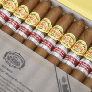 DIPLOMATICOS GRANDES ER 2021