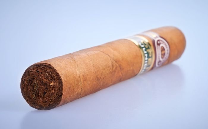 Montecristo - Open Junior - Image 5