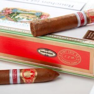 Saint Luis Rey - Belicosos Edicion Regional 2022