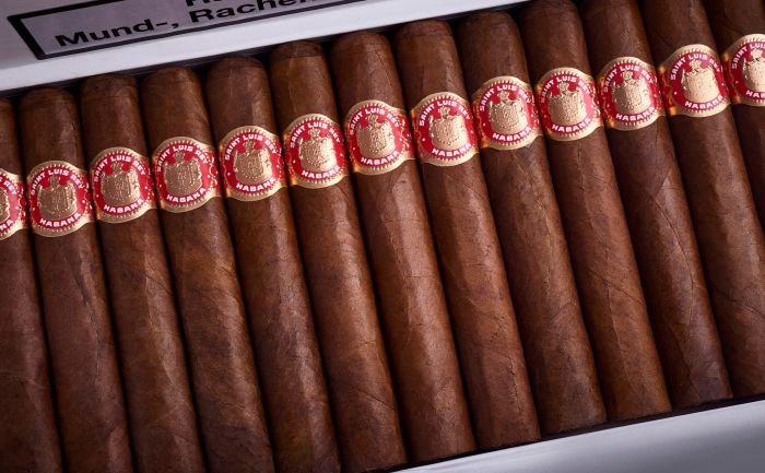 Saint Luis Rey - Regios - Image 8