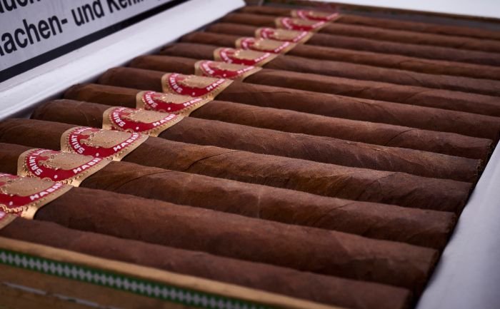 Saint Luis Rey - Regios - Image 9