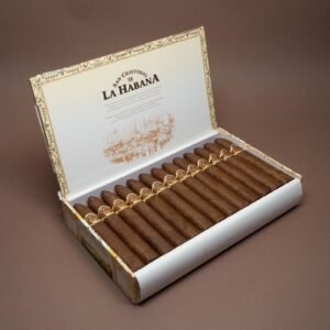 SAN CRISTOBAL LA PUNTA