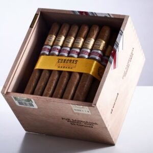 Por Larrañaga - Coronas ER 2017